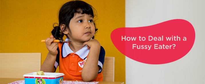 How to Deal with a Fussy Eater-blog